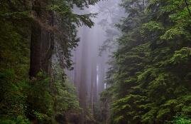 如何增加免疫力