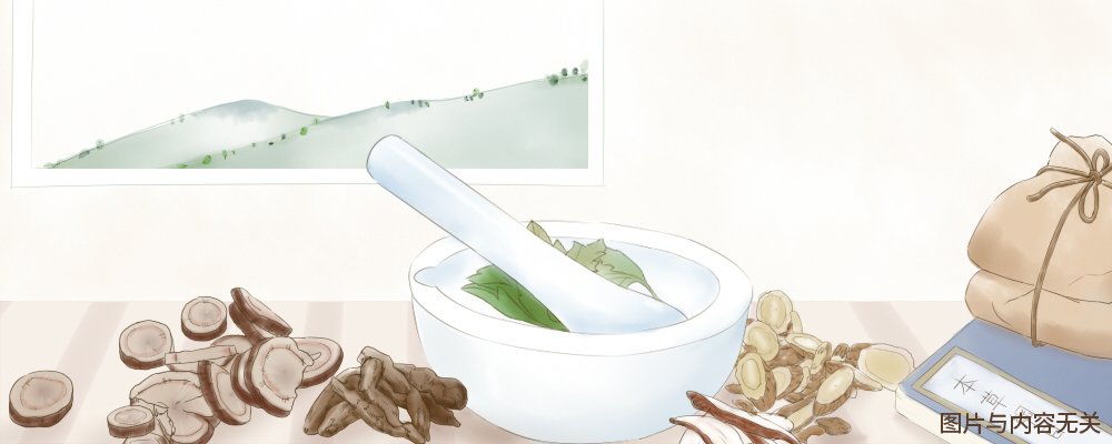 铁皮石斛可以修复胃黏膜吗_铁皮石斛治疗胃炎_